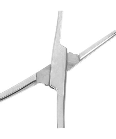 CORHAD Reptile Feeding Clip Reptile Tongs Feeding Reptile Tools Stainless Steel Silver - Buy Online on SooperMarket.com