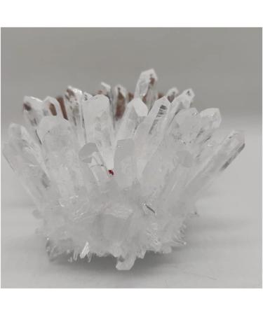 Home Decor 1pcs Natural Raw Quartz White Clear Crystal Cluster Stones Crystal Point Specimen Home Decoration Raw Crystals Mi Soothing Crystal Household Crystal Cluster (Size : 600-700g) - Buy Online on SooperMarket.com
