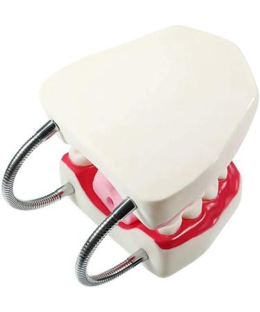 LBYLYH Standard Dental Lehling Model - Realistic Teeth Soft Chewing Gum & Tongue for Clinical Demonstrations - Easy to Use & Store - Buy Online on SooperMarket.com