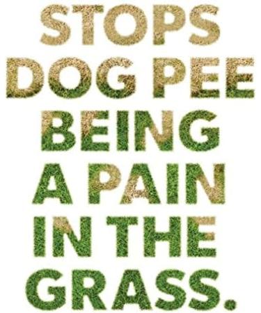Dog Rocks - Urine Patch Preventer (200g) / Natural Dog Urine Neutraliser for Water Bowls Grass Repair Urine Burn Patch Repair 200 g (Pack of 1) - Buy Online on SooperMarket.com
