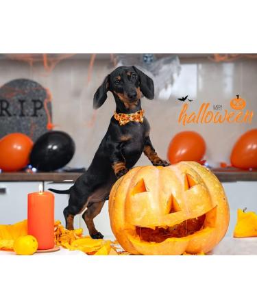 Shop Pumpkin Ghost Aring Pet Dog Collar - Adorable Halloween Collars for Boys & Girls X-Large Metal Buckle - Perfect Gifts! - Buy Online on SooperMarket.com