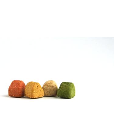 Gourmet Bites for Dogs - 500g Baked Goods | Healthy Natural Dog Treats by Dibo | BARF Dog Biscuit Snacks - Buy Online on SooperMarket.com