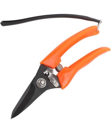 Buy High Carbon Stainless Steel Hoof Shears for Goats | Safe & Durable - International Shipping - Buy Online on SooperMarket.com