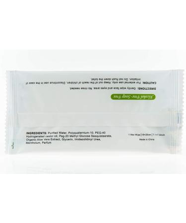 TRAVELWELL Cleanings & Make-Up Remover Wipes 500 Count - Natural Aloe, Alcohol-Free, Individually Wrapped Travel Packs - Elderly Bathing, Hotel Toiletries, Landscape Series - Buy Online on SooperMarket.com