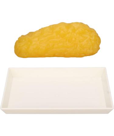 Fat Replica 1 Lb Real Soft Touch Fat Model A True Replica of Human Fatty Tissue for Anatomy Physiology Science Technology Students Nutritionists Doctor Dietitians - Buy Online on SooperMarket.com