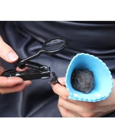 HAICHEN TEC Guinea Pig Nail Clippers with Magnifying Glass - Stainless Steel Claw Toenail Trimmer for Small Animals - Pet Grooming Supplies - Buy Online on SooperMarket.com
