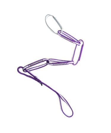 Metolius Alpine PAS Sling Purple/Silver 38"