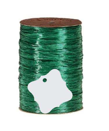 Pearlized Emerald Gift Wrap Packaging Raffia Ribbon with Contoured Novelty Gift Tags