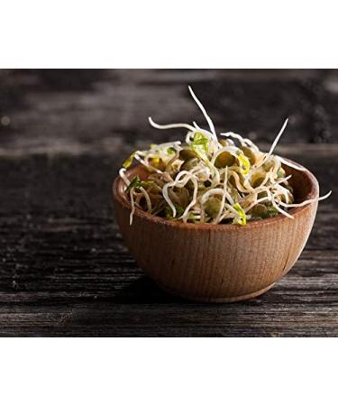 Organic French Green Lentils 10 Pounds - Non-GMO Whole Dry Beans | Raw Sproutable Vegan Kosher Bulk - High in Folate, Fiber, Plant-Based Protein | Ideal for Soups, Chili, Stews, Curries - Buy Online on SooperMarket.com
