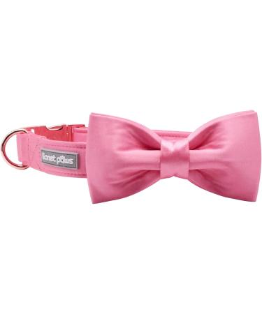 Lionet Paw's Comfortable Silk Pink Dog Collar with Removable Fly - Large Dogs (Neck 40-60cm) - 1 Pack - Buy Online on SooperMarket.com