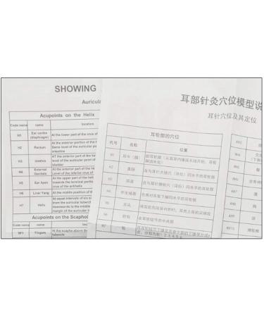 Human Body Model Acupuncture Pressure Points and Meridians 40cm - Buy Online on SooperMarket.com
