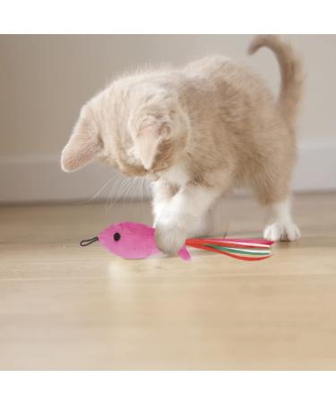 5Pcs Catnip Toy Set - Interactive Pink Fish & Feather Teaser for Kittens | Catnip Filled Plush Toys for Teething Chew Cat Wand Accessories - Buy Online on SooperMarket.com