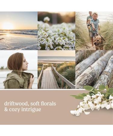Yankee Candle Seaside Woods Electric Scent Plug Refill - Pack of 4 | International Shipping Available - Buy Online on SooperMarket.com