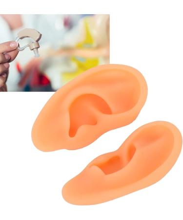Kadimendium Human Ear Acupuncture Model - 2 Pieces for Training - Buy Online on SooperMarket.com