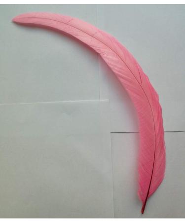 50pcs Pink Rooster Coque Tail Feathers 13-16 Inches - Hat Costume & Craft Decoration - Buy Online on SooperMarket.com