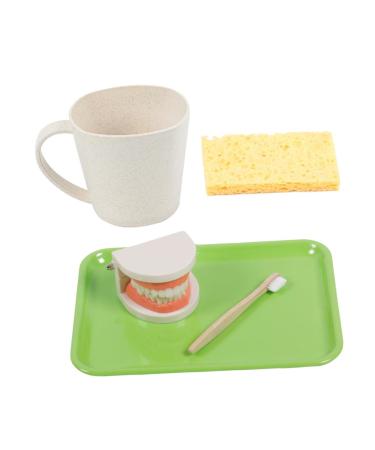 Healvian 3 Sets Early Dental Education Toys Denture Model Toiletries Child Wooden Reusable