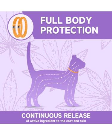 Cat Repellent Treatment Adjustable Cat Repellent Collars Natural Protection Repellent Collar for Cats Water Resistant Repellent Collar for Cats Small-Medium-Large Orange 2pack - Buy Online on SooperMarket.com
