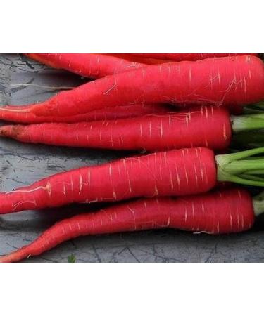 Indian Carrots || FPG4U || 1 KG