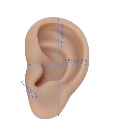 Artificial Ear Model Flexible Reusable Simulation Silicone Ear Model Convenient for Ear Piercing Exercise for Earrings Display(Deep Skin Color) - Buy Online on SooperMarket.com