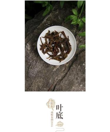 Pu-erh tea 2016 brown legend 357g Raw - Buy Online on SooperMarket.com