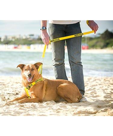 NERVOUS (Give Me Space) Yellow Colour Coded Non-Pull Dog Harness and 60cm 1.2m 1.8m Luxury Neoprene Padded Handle Lead Sets PREVENTS Accidents By Warning Others Of Your Dog In Advance (Harness & 1.8m) Harness & Long 1.8m/72inch Lead - Buy Online on SooperMarket.com