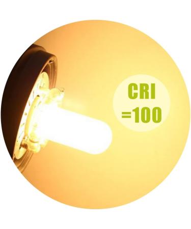 SKYEVER JDD Halogen Lamp Bulb AC 110V-130V E26 150 Watts for Photography Lighting  Modeling Light  Strobe Light and Flash Lamp  Warm White 2900K (4 Pack) - Buy Online on SooperMarket.com