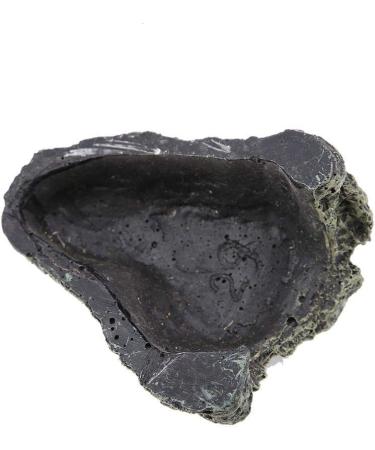 Buy Axolotl Cave | Fish & Reptile Hidden Cave Shelter | Stone Aquarium Decoration & Ornament - L18*12*9 - Buy Online on SooperMarket.com