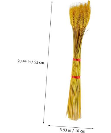 Abaodam 100pcs Dried Wheat Ears Bouquet Dried Rabbit Tail Grass Dried Floral Dried Wheat Stalk Picks Decked Wedding Ceremony Decorations Desktop Wheat Ear Rural Dried Flowers. Real Flower Yellow 52X10CM - Buy Online on SooperMarket.com