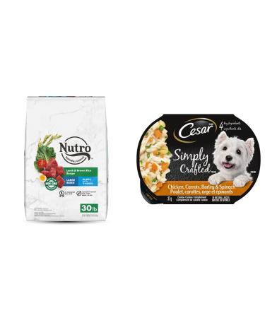 NUTRO NATURAL CHOICE Large Breed Dry Dog Food Puppy Lamb & Rice Recipe and and Wet Dog Food Chicken Carrorts & Spinach Dry Dog Food Chicken Carrots & Spinach 11 Piece Set