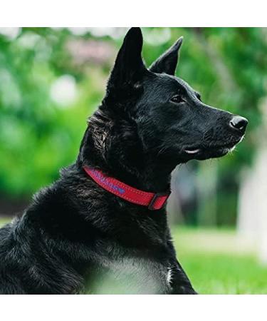 Tagme Personalized Reflective Dog Collar for Large Dogs - Embroidered Nylon with Pet Name & Phone Number - Red XL (1 Pack) - Buy Online on SooperMarket.com