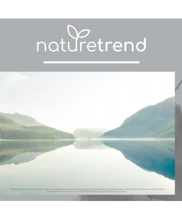 Buy NatureTrend Zeolite Powder 1.3kg - Premium Quality Natural Clean 94% Purity Extra Finely Ground Volcanic Stone - International Shipping Available - Buy Online on SooperMarket.com