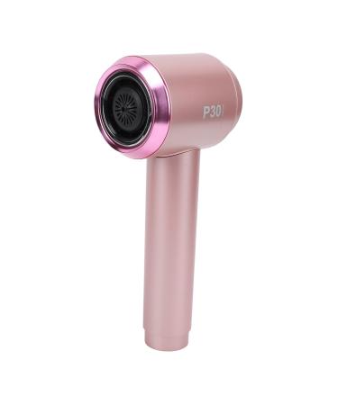 Ionic Hair Dryer Professional Hair Blow Dryer with Intelligent Temperature Control 300W Portable Travel Hair Dryer Hot Cold Dual Mode High Speed Blow Dryer for Home Salon (US US Plug 100 240V 100-240V
