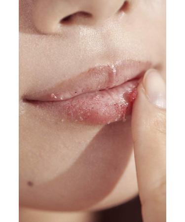 Henn Organics Lip Exfoliator - Natural Nordic Berries Sugar Scrub - Buy Online on SooperMarket.com