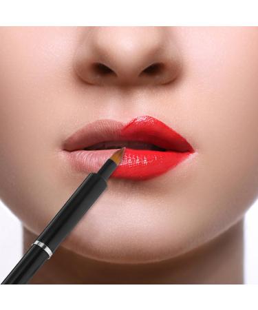 NOLITOY Lip Brushes Set - 2pcs Lipstick & Lip Gloss Applicator Small Concealer & Eyeshadow Makeup Brushes - Perfect for Flawless Makeup Applications - Buy Online on SooperMarket.com