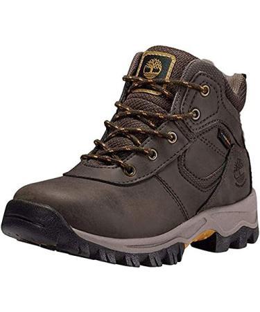 Timberland Unisex-Child Youth Mt. Maddsen Timberdry Waterproof Hiking Boot Little Kid (4-8 Years) 13.5 Little Kid Dk Brown Full Grain