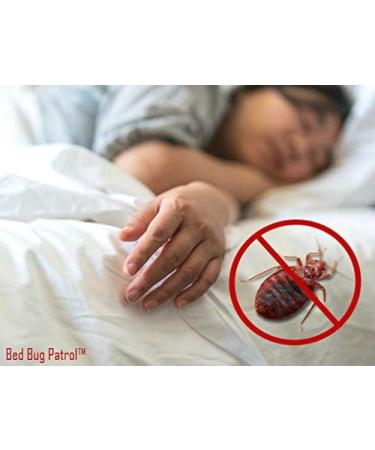 Bed Bug Spray by Bed Bug Patrol - All Natural Bed Bug Killer - Bed Bug Travel Spray - Child & Pet Safe - Plant Based - Non-Toxic - TSA Approved - Recommended for Hotels  AirBnB  RV  Rideshare  Suitcase  Luggage - 3oz Travel Spray 3oz (Travel) - Buy Online on SooperMarket.com
