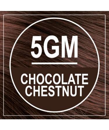 Naturtint 5GM Chocolate Chestnut Hair Color 5.75 fl oz - Permanent Hair Dye - Buy Online on SooperMarket.com