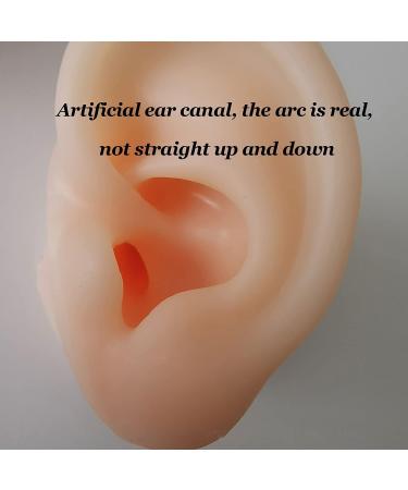 Soft Silicone Human Ear Simulation Model Learning Accessory for Ear Extraction of The Hearing Conduit Suitable for Visual Extraction Practice - Buy Online on SooperMarket.com