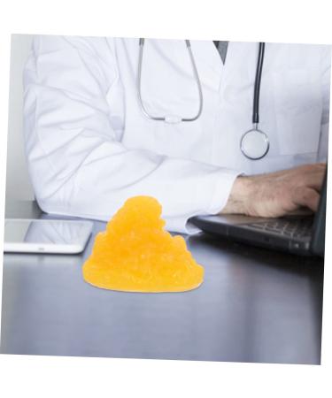 Gatuida Nutritionist 2pcs Fat Model Models Human Body Fat Replica Human Body 1-Pound Fat Replica Base Fitness Sports Fat 1lb - Buy Online on SooperMarket.com