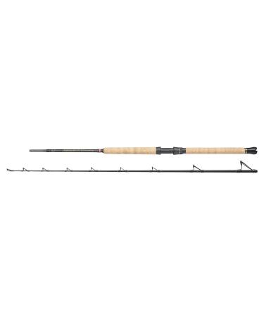 PENN Regiment III Pro Bootrute- Sea Angel rod with cork handle- wreck and reef fishing- Sea dorsch perch Salmer 2.13m | 12-20lb