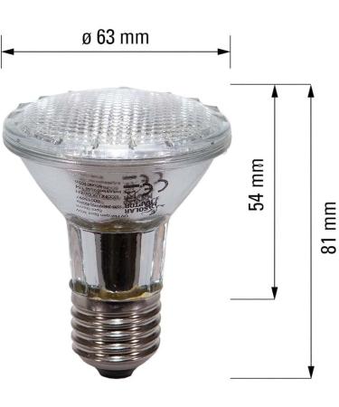 Buy Solar Raptor UV Halogen Spot 35W | Reptile Heat Lamp & Terrarium Light with Daylight Spectrum - International Shipping Available - Buy Online on SooperMarket.com