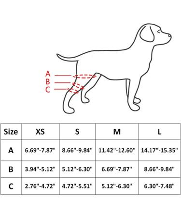 Pet Dog Knee Brace ACL Brace for Dogs Rear Leg Dog Braces for Back Leg for Support for Heals Prevents Injuries Sprains Blue Small Small Blue - Buy Online on SooperMarket.com
