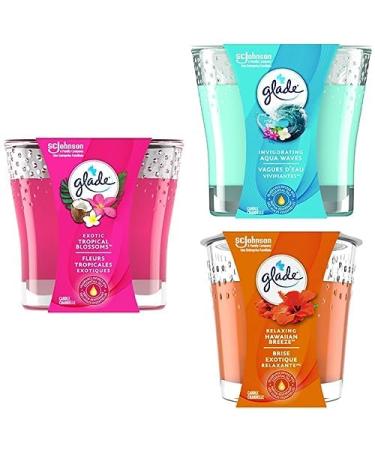 Glade Scented 1-Wick Candle Air Freshener Infused with Essential Oils for Home Fragrance Exotic Tropical Blossoms Hawaiian Breeze and Blue Odyssey