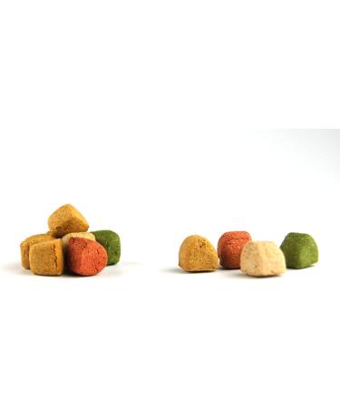 Gourmet Bites for Dogs - 500g Baked Goods | Healthy Natural Dog Treats by Dibo | BARF Dog Biscuit Snacks - Buy Online on SooperMarket.com