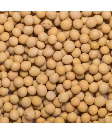 Wholefood Earth Organic Soya Beans 1kg - GMO Free, Vegan, High Fibre & Protein - Certified Organic - Buy Online on SooperMarket.com
