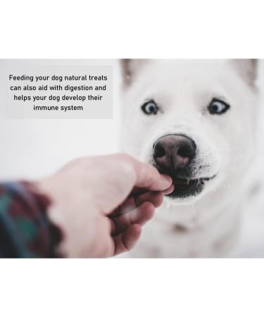 Bald Rabbit Ears Dog Treats 100g - Natural, Hypoallergenic Chews | SLD - Buy Online on SooperMarket.com