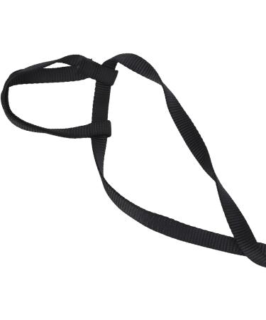 Adjustable Bird Dishes & Leash for Parrots - PAPPAGES THE FLUCHEN Perfect for Gray Cacadu - Shop Internationally! - Buy Online on SooperMarket.com