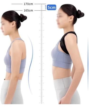DFHBFG The Pine Column Side Bend Straight Back Artifact Hunchback Orthodevice with Invisible Correction Posture(Size:Medium) Medium D - Buy Online on SooperMarket.com