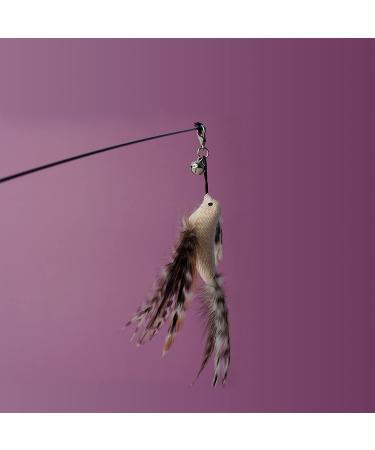 2022 Cat Feather Toy Set - Interactive Kitten Toys with Elastic Wand and Refill Feathers - Indoor Cat Play and Exercise - Buy Online on SooperMarket.com