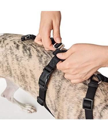 Buy HUNTER Vario Rapid Safety Harness 48-70 cm - Black | International Shipping Available - Buy Online on SooperMarket.com